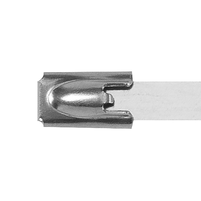 Stainless Steel Cable Tie 200mm x 4.6mm - Pack of 100 | CTSS200