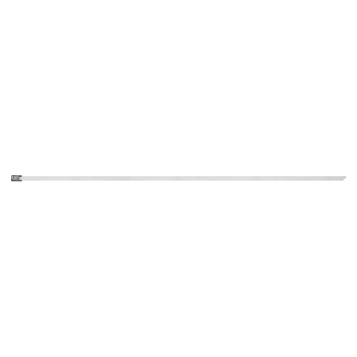 Stainless Steel Cable Tie 200mm x 4.6mm - Pack of 100 | CTSS200