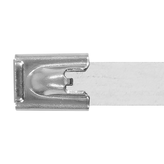 Stainless Steel Cable Tie 300mm x 7.9mm - Pack of 100 | CTSS379