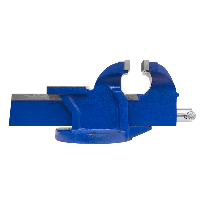 Vice Fixed Base 100mm | CV100E