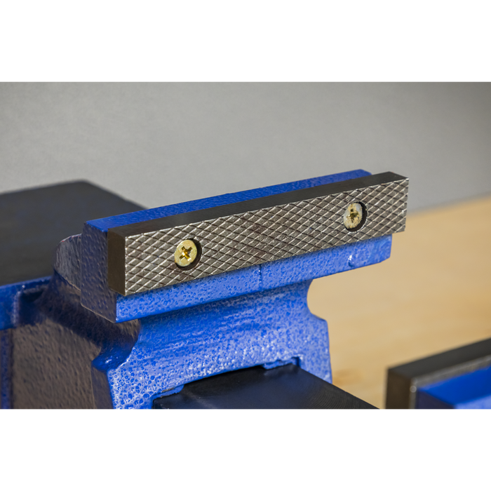 Professional Heavy-Duty Fixed Base Vice 125mm | CV125XT