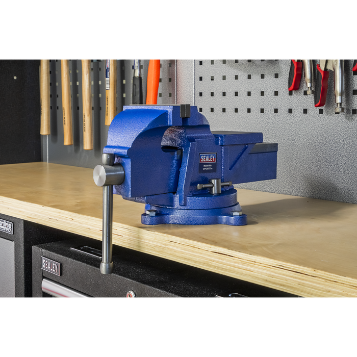Professional Heavy-Duty Fixed Base Vice 125mm | CV125XT