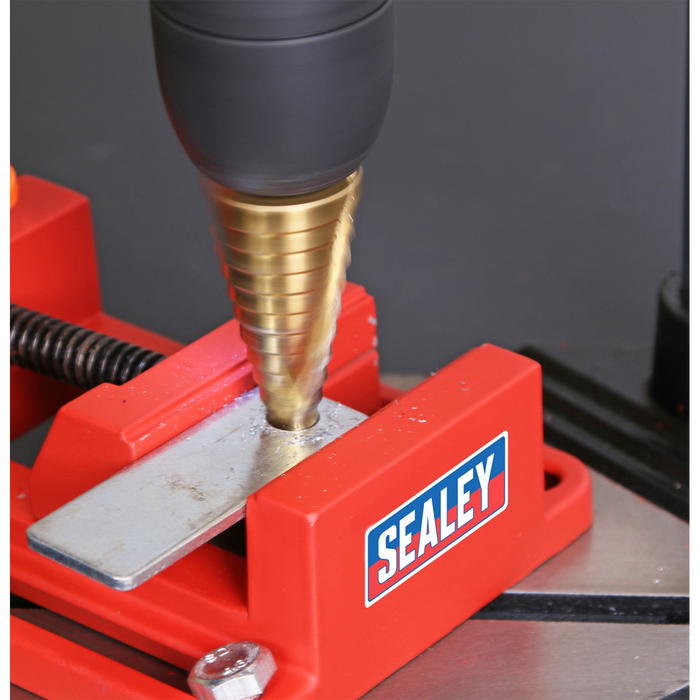 Drill Stand with Cast Iron Base 500mm & Vice 65mm | DS01