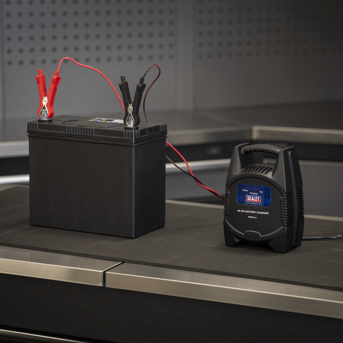 Battery Charger 12V 4A 230V | DSBC4