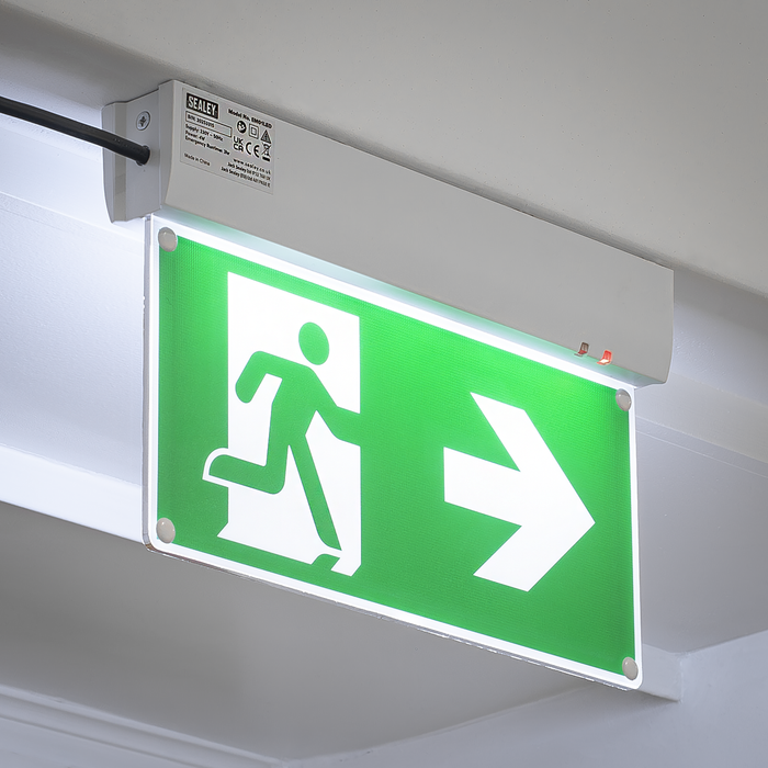 Maintained Emergency LED Fire Exit Sign | EM01LED