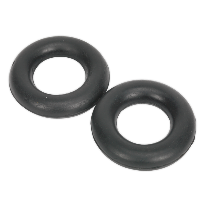 Exhaust Mounting Rubbers - Pack of 2 | EX04