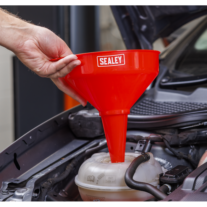 Fixed Spout Funnel with Filter 200mm - Medium | F2