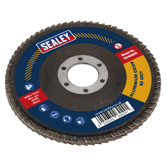 100mm Aluminium Oxide Flap Disc 60Grit 16mm Bore | FD10060E