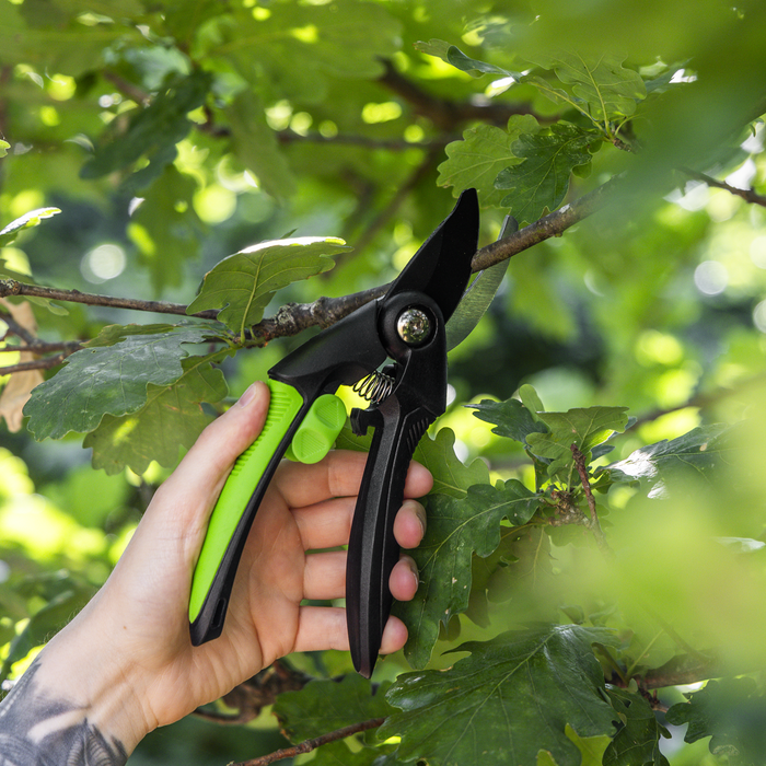 Bypass Secateurs with Soft Grip Handle, Safety Lock & Carbon Steel Blade, 208mm | GTSG001