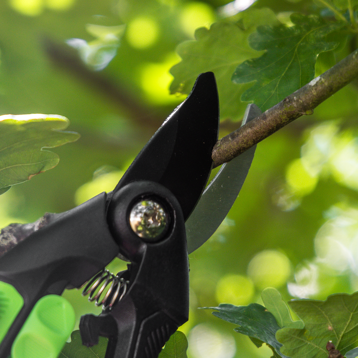 Bypass Secateurs with Soft Grip Handle, Safety Lock & Carbon Steel Blade, 208mm | GTSG001
