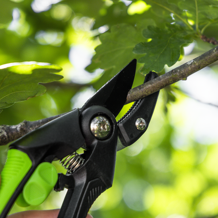 Anvil Secateurs with Soft Grip Handle, Safety Lock & Carbon Steel Blade, 208mm | GTSG002