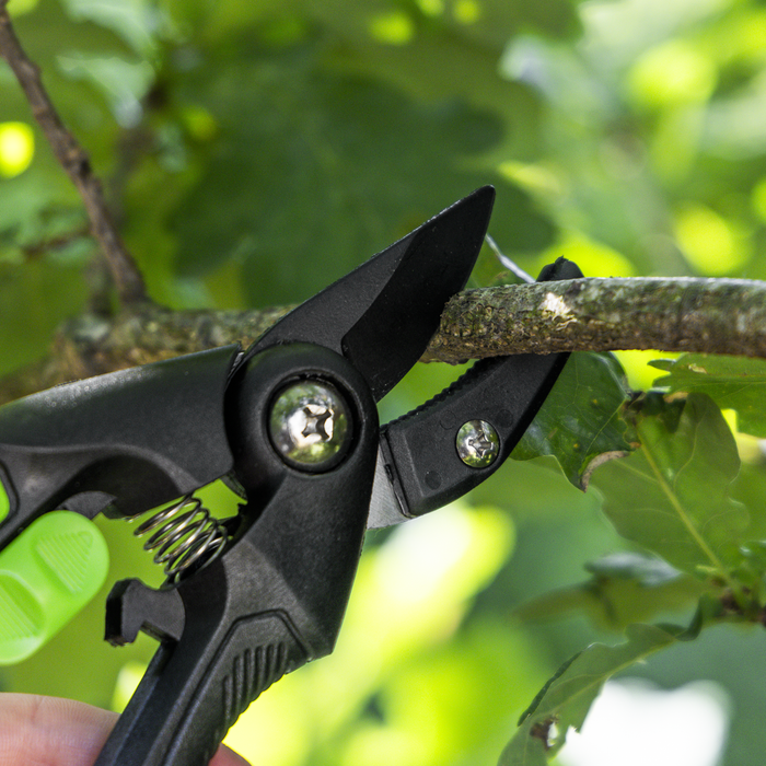 Anvil Secateurs with Soft Grip Handle, Safety Lock & Carbon Steel Blade, 208mm | GTSG002