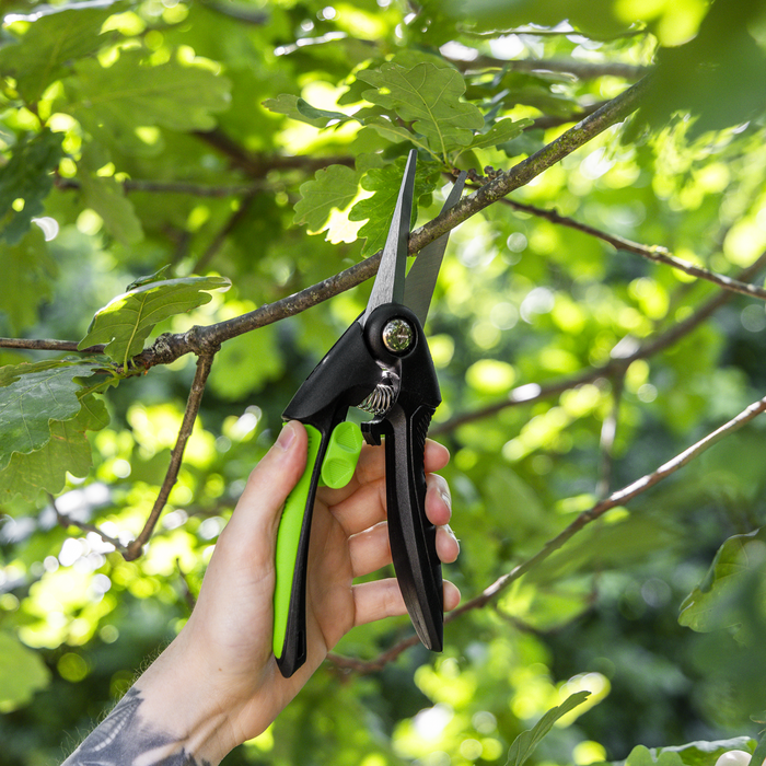 Pruning Snips with Soft Grip Handle & Carbon Steel Blade, 208mm | GTSG003