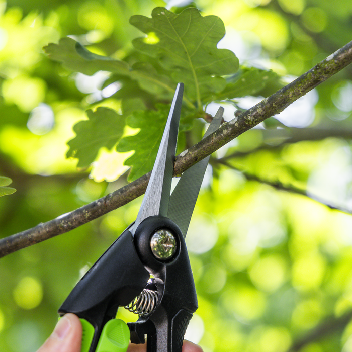 Pruning Snips with Soft Grip Handle & Carbon Steel Blade, 208mm | GTSG003