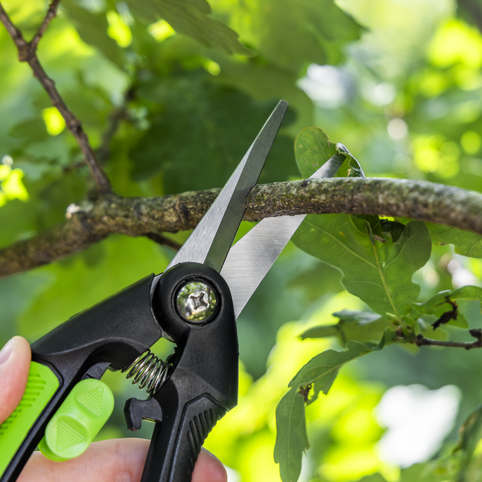 Pruning Snips with Soft Grip Handle & Carbon Steel Blade, 208mm | GTSG003