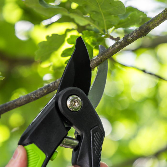 Bypass Secateurs with Soft Grip Handle, 3-Stage Safety Lock & Carbon Steel Blade, 220mm | GTSG004