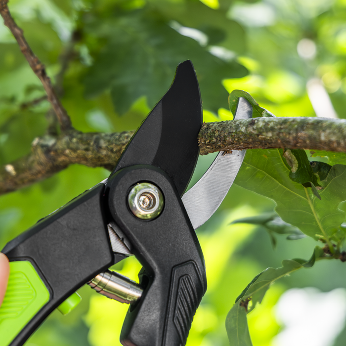 Bypass Secateurs with Soft Grip Handle, 3-Stage Safety Lock & Carbon Steel Blade, 220mm | GTSG004