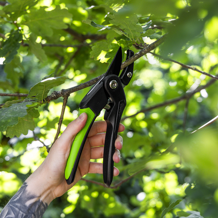 Anvil Secateurs with Soft Grip Handle, 3-Stage Safety Lock & Carbon Steel Blade, 220mm | GTSG005