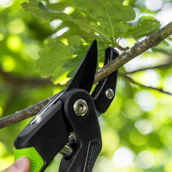 Anvil Secateurs with Soft Grip Handle, 3-Stage Safety Lock & Carbon Steel Blade, 220mm | GTSG005