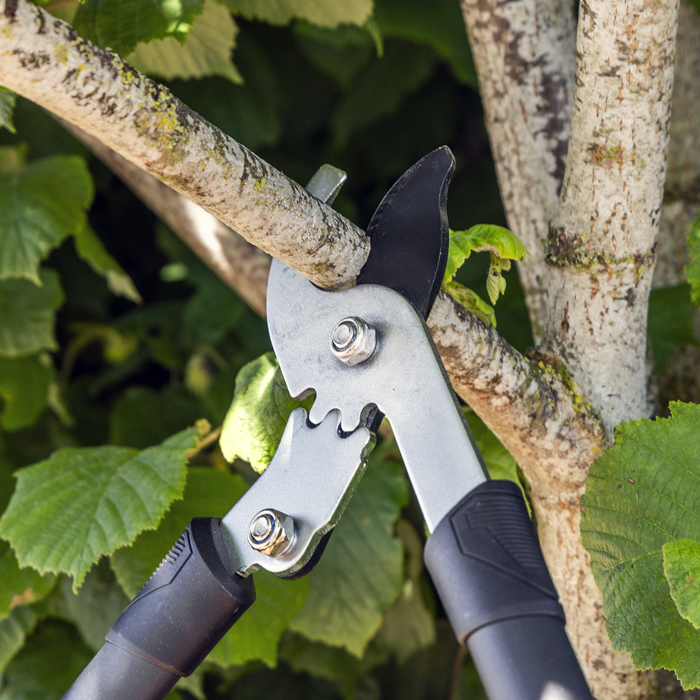 Bypass Lopping Shears with Soft Grip Handle, Geared & Carbon Steel Blade | GTSG014