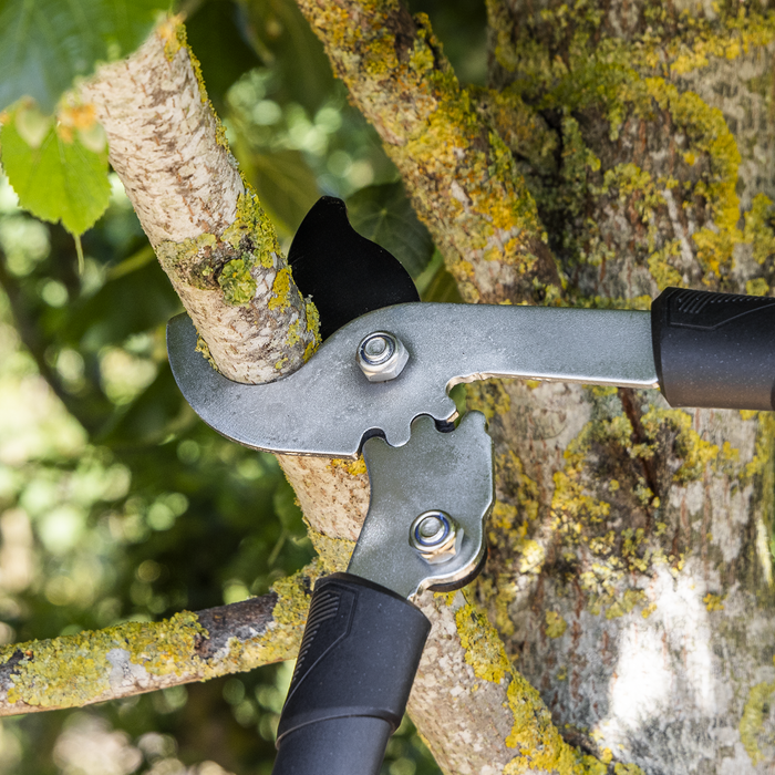 Bypass Lopping Shears with Soft Grip Handle, Geared & Carbon Steel Blade | GTSG014
