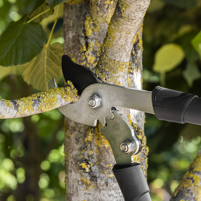 Bypass Lopping Shears with Soft Grip Handle, Geared & Carbon Steel Blade | GTSG014