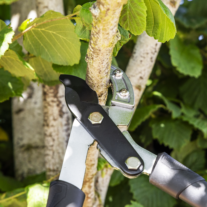 Telescopic Anvil Lopping Shears with Soft Grip Handle, Geared & Carbon Steel Blade | GTSG017