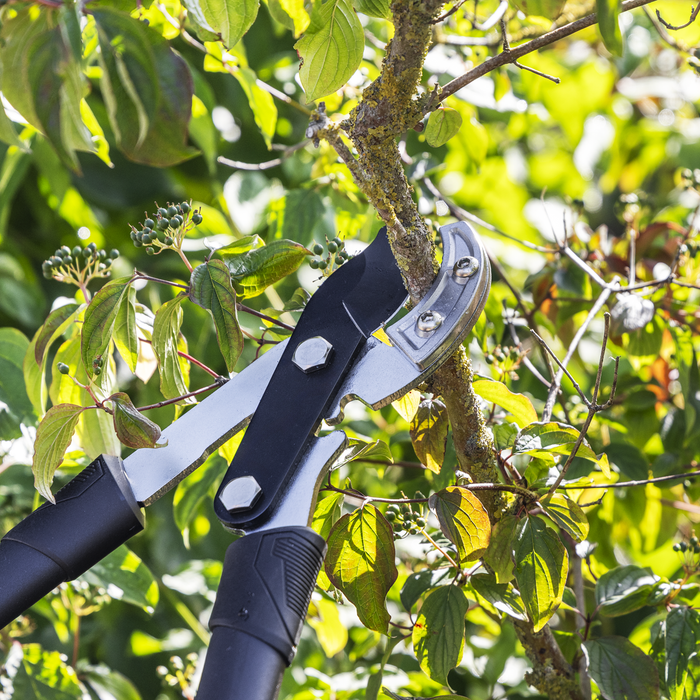 Telescopic Anvil Lopping Shears with Soft Grip Handle, Geared & Carbon Steel Blade | GTSG017