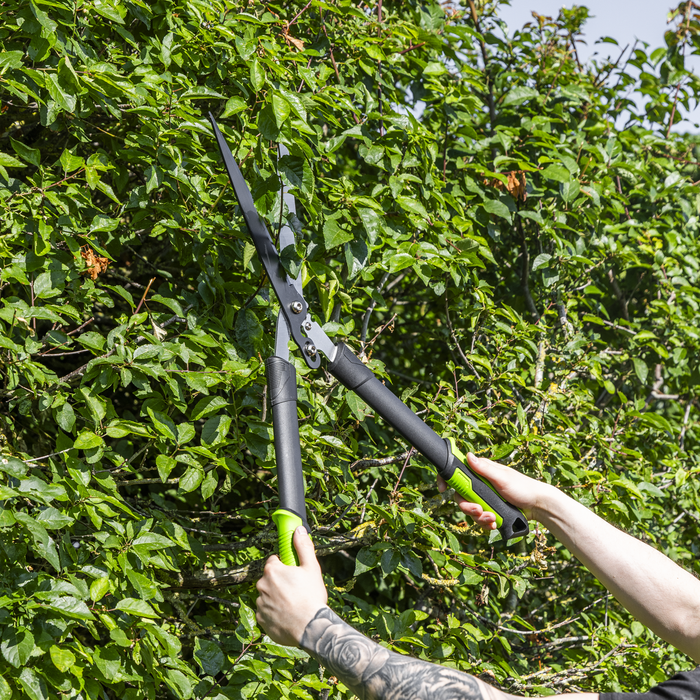 Hedge Shears with Soft Grip Handle & Carbon Steel Blade | GTSG018
