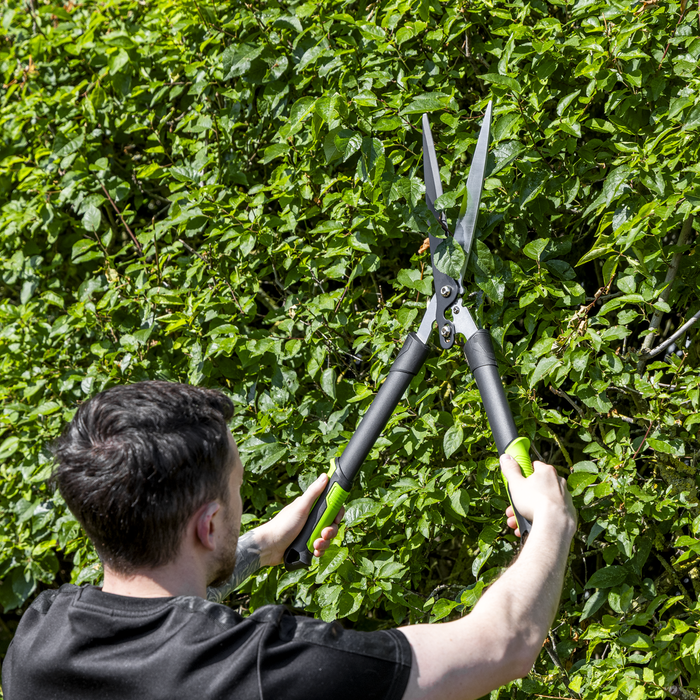 Hedge Shears with Soft Grip Handle & Carbon Steel Blade | GTSG018