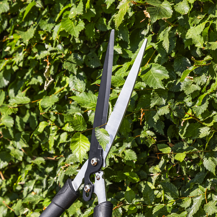 Telescopic Hedge Shears with Soft Grip Handle & Carbon Steel Blade | GTSG019