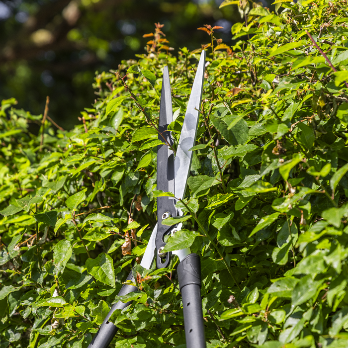 Telescopic Hedge Shears with Soft Grip Handle & Carbon Steel Blade | GTSG019