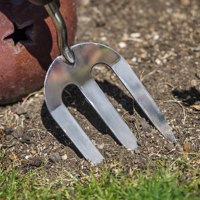 Hand Fork with Soft Grip Handle & Stainless Steel Tines | GTSG021