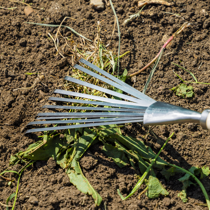 Premier Leaf Hand Rake with Ash Handle & Stainless Steel Tines | GTWH001