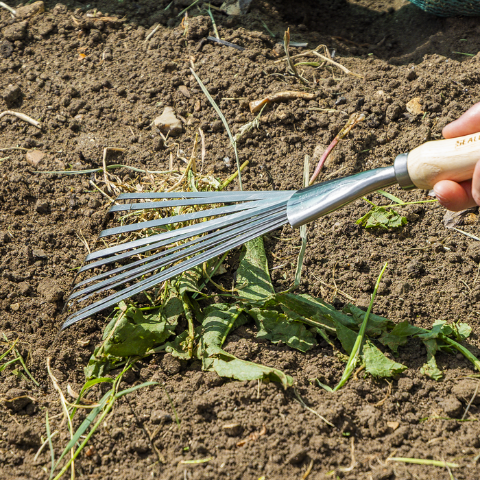 Premier Leaf Hand Rake with Ash Handle & Stainless Steel Tines | GTWH001