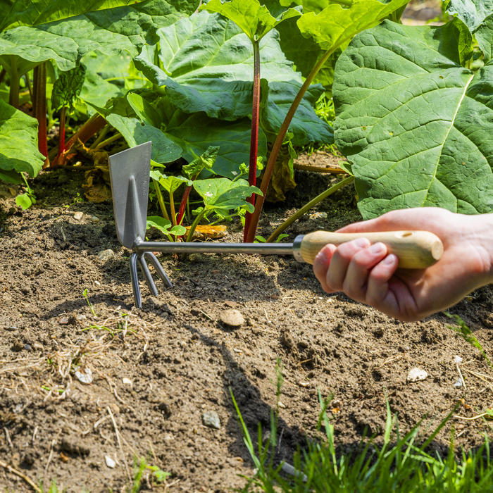 Premier  2-in-1 Hoe and Cultivator with Ash Handle & Stainless Steel Tines/Blade | GTWH002