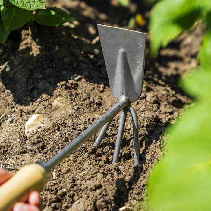 Premier  2-in-1 Hoe and Cultivator with Ash Handle & Stainless Steel Tines/Blade | GTWH002