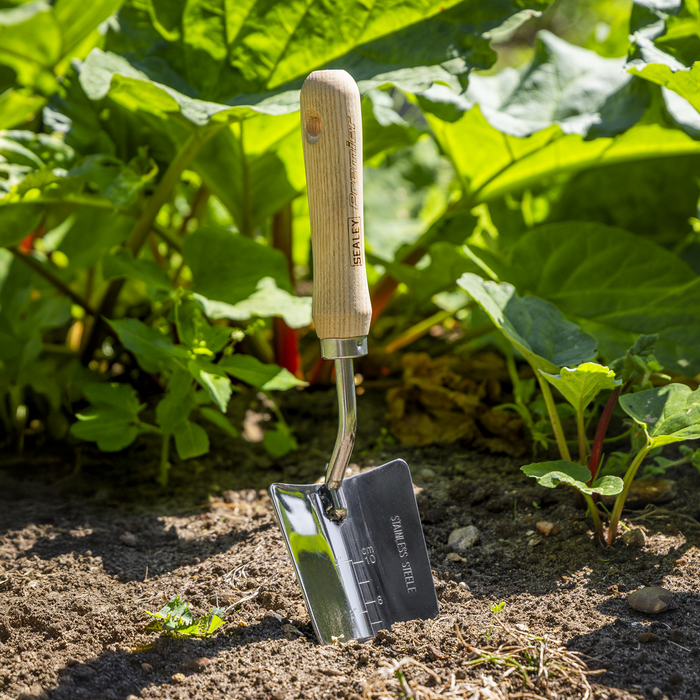 Premier Hand Trowel Hand Trowel with Ash Handle & Stainless Steel Blade | GTWH003