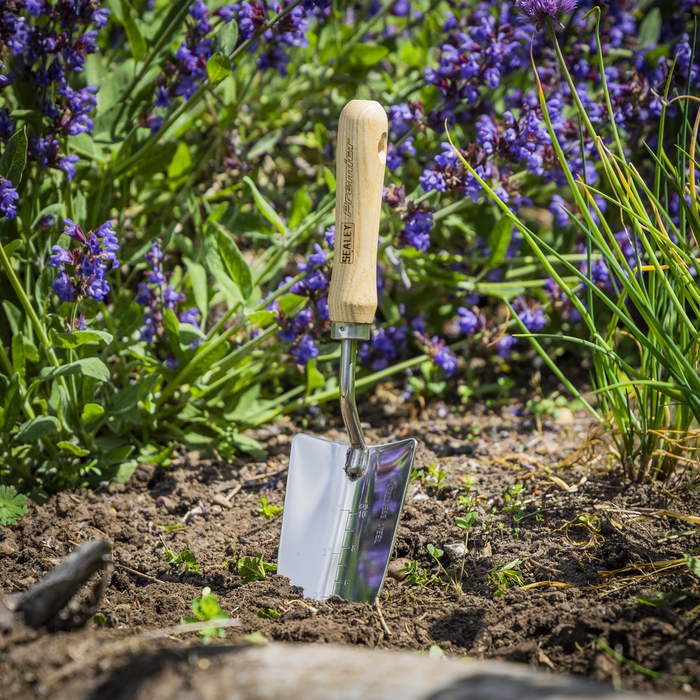 Premier Hand Trowel Hand Trowel with Ash Handle & Stainless Steel Blade | GTWH003
