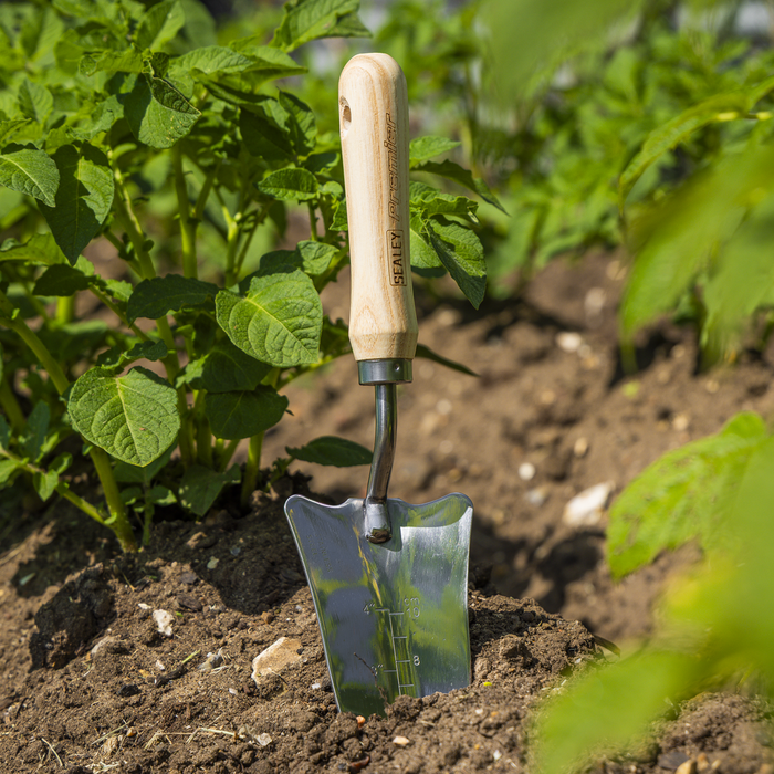 Premier Slim Head Trowel with Ash Handle & Stainless Steel Blade | GTWH004