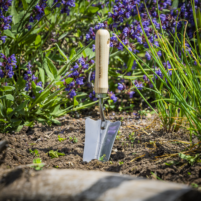 Premier Slim Head Trowel with Ash Handle & Stainless Steel Blade | GTWH004