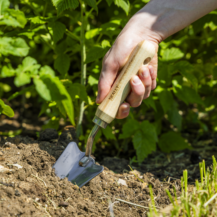 Premier Slim Head Trowel with Ash Handle & Stainless Steel Blade | GTWH004