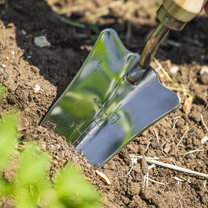 Premier Slim Head Trowel with Ash Handle & Stainless Steel Blade | GTWH004