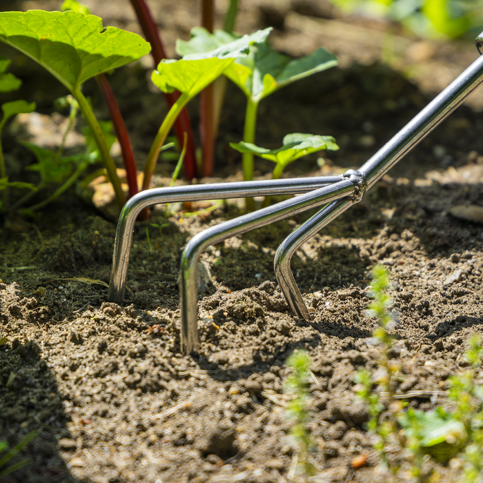 Premier Cultivator with Short Ash Handle & Stainless Steel Tines | GTWH005