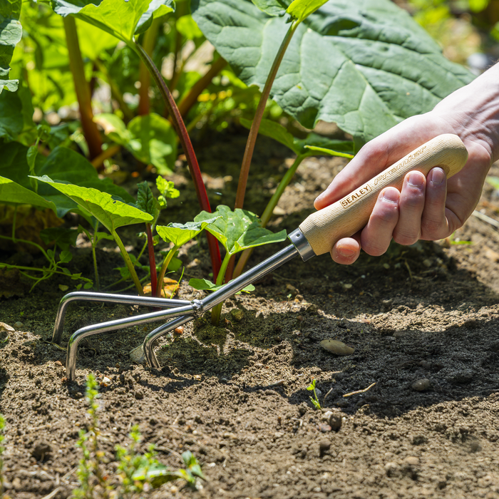 Premier Cultivator with Short Ash Handle & Stainless Steel Tines | GTWH005