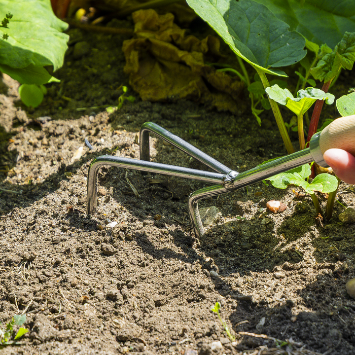 Premier Cultivator with Short Ash Handle & Stainless Steel Tines | GTWH005