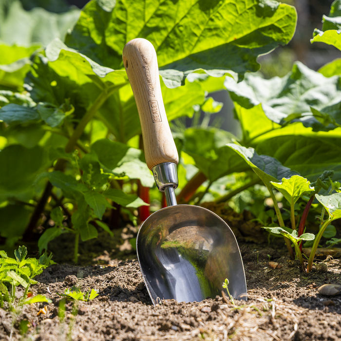 Premier Garden Scoop with Ash Handle & Stainless Steel Head | GTWH006