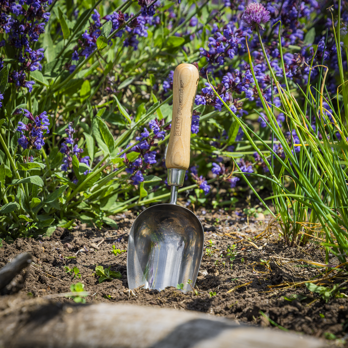 Premier Garden Scoop with Ash Handle & Stainless Steel Head | GTWH006