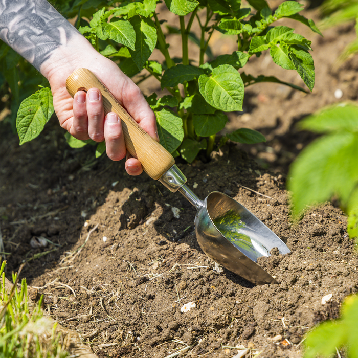 Premier Garden Scoop with Ash Handle & Stainless Steel Head | GTWH006