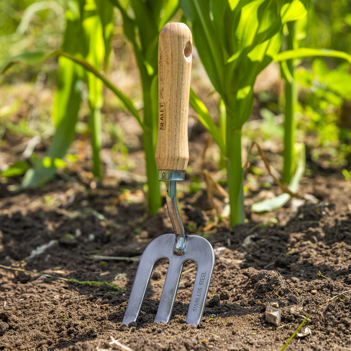 Premier Garden Hand Fork with Ash Handle & Stainless Steel Tines | GTWH007